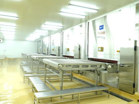  Individual Quick Freezer (Multi - Functions) 