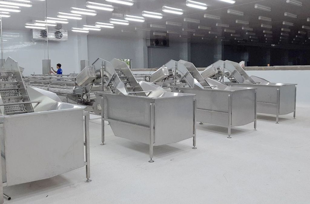  Fish Feeding Machine For Filleting Conveyor 