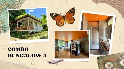 Combo bungalow 5