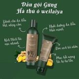 Bộ Dầu Gội Xả Gừng Kết Hợp Hà Thủ Ô Weilaiya Dành Cho Tóc Khô Tóc Thường 
