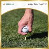  Tee Golf Gỗ Cao Cấp Tabata 40mm | Tabata Golf Chính Hãng 