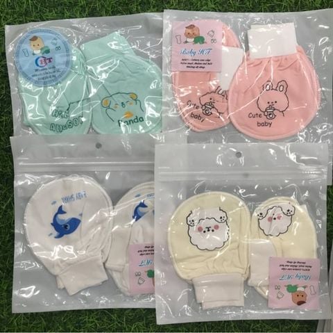 SET BTBC IN HÌNH BABY HT
