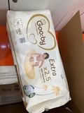 TÃ QUẦN GOOBY NGÀY XL50 NEW