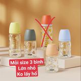 Bình UMB 170ml