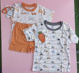 BỘ CỘC CB PETIT HỌA TIẾT XE CẨU OTO UALA