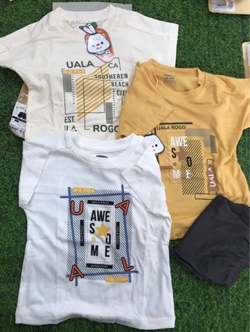 BỘ CỘC PETIT HOẠ TIẾT KHUNG VUÔNG UALA