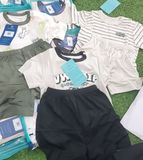 BỘ CỘC TAY IN ĐỘNG CƠ PHỐI QUẦN MÀU