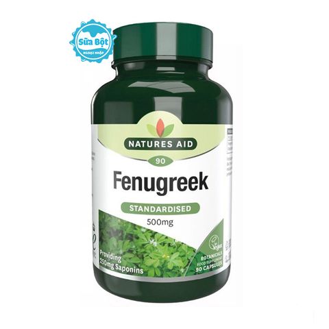 Lợi sữa cỏ cà ri Natures Aid 90v