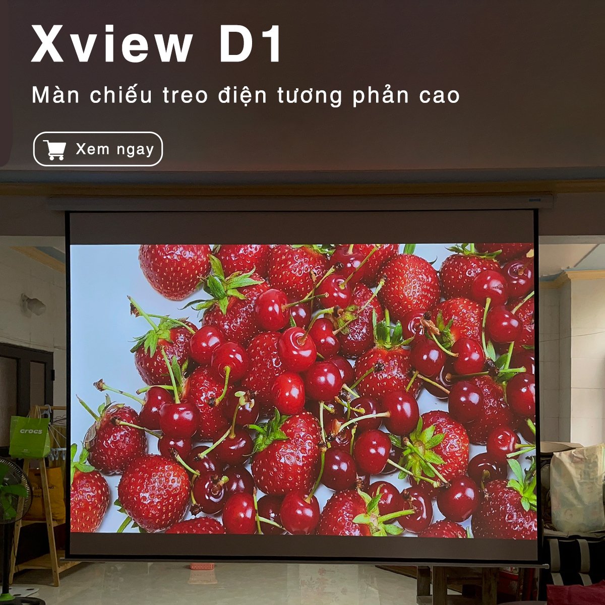 Màn chiếu Xview D1 treo điện tương phản cao, chuyên dụng cho máy chiếu độ sáng cao, có điều khiển tự động lên xuống, góc nhìn 180 độ, loại cao cấp, cho chất lượng hình ảnh đẹp, sắc nét, hỗ trợ 7 kích thước