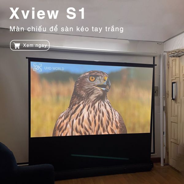 Màn chiếu Xview S1 để sàn kéo tay trắng, sử dụng được cho mọi loại máy chiếu, góc nhìn 180 độ, loại cao cấp, cho chất lượng hình ảnh đẹp, sắc nét, hỗ trợ 4 kích thước