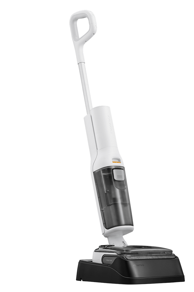 Roborock F25 RT
