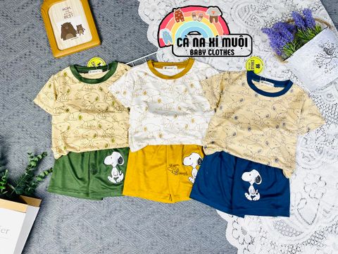  NGẮN TAY SNOOPY 3 MÀU 9-30KG 