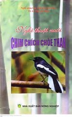  Nghệ Thuật Nuôi Chim Chích Chòe Than 