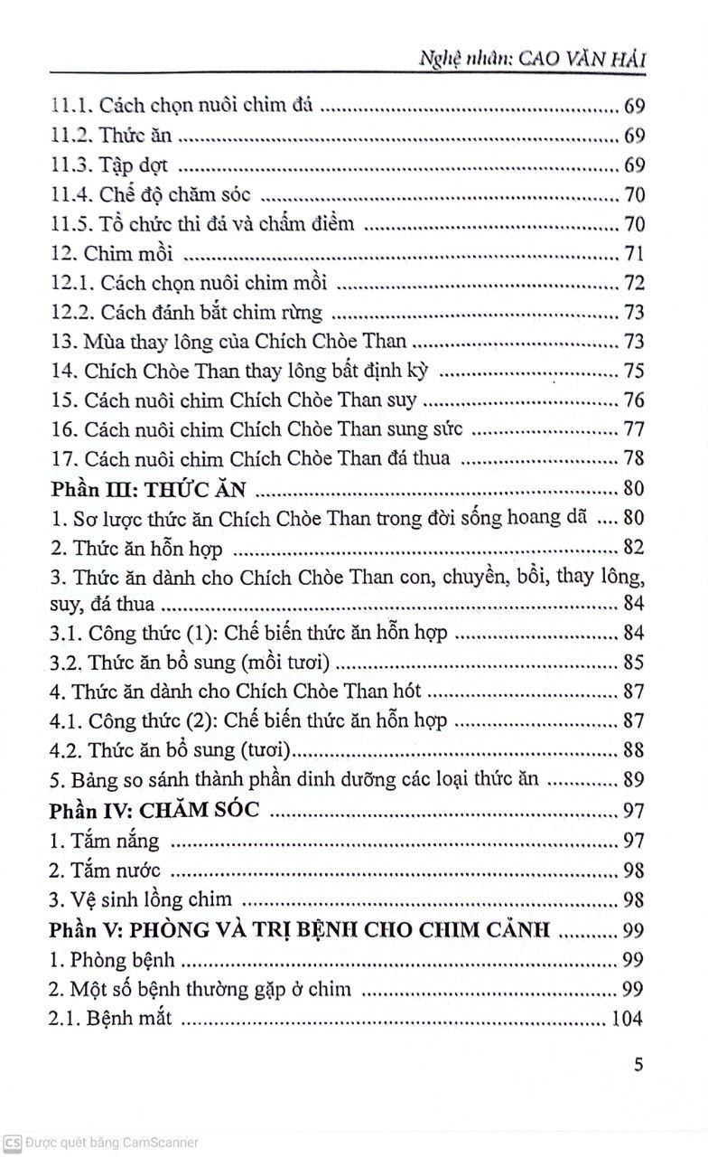  Nghệ Thuật Nuôi Chim Chích Chòe Than 
