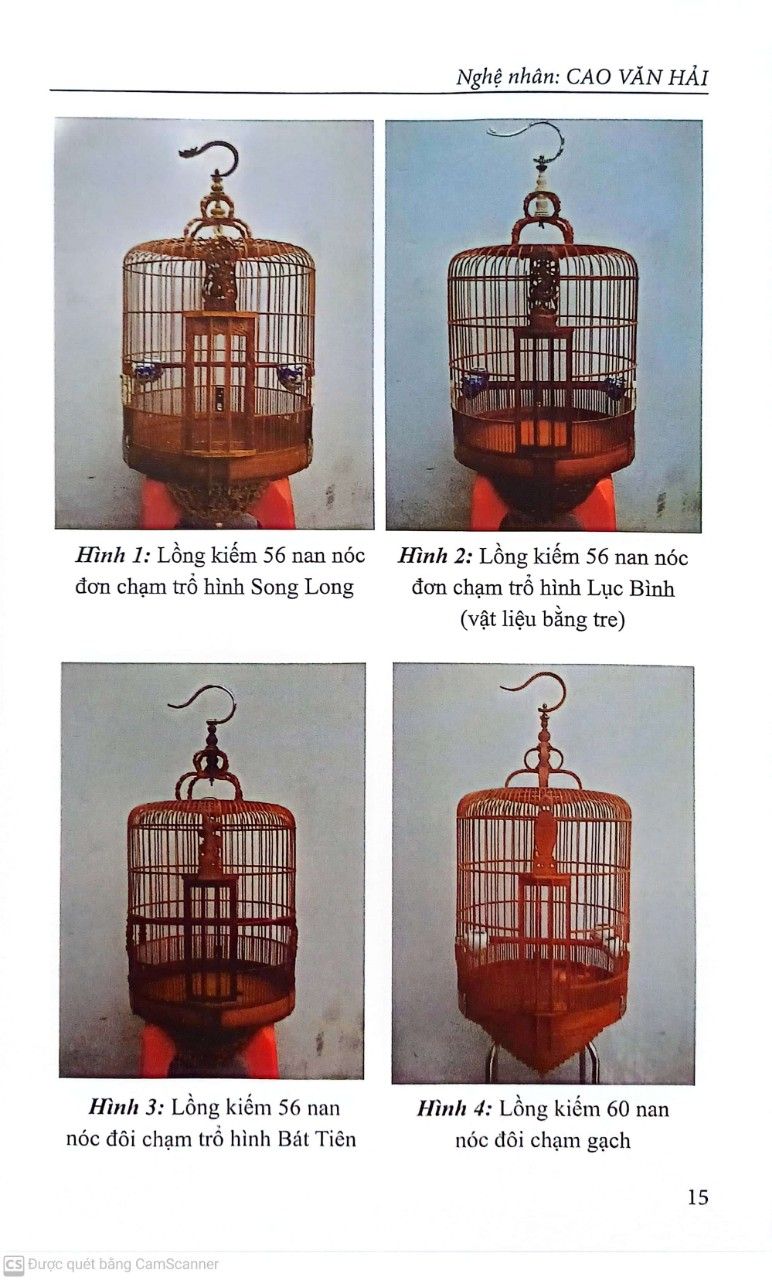  Nghệ Thuật Nuôi Chim Chích Chòe Than 