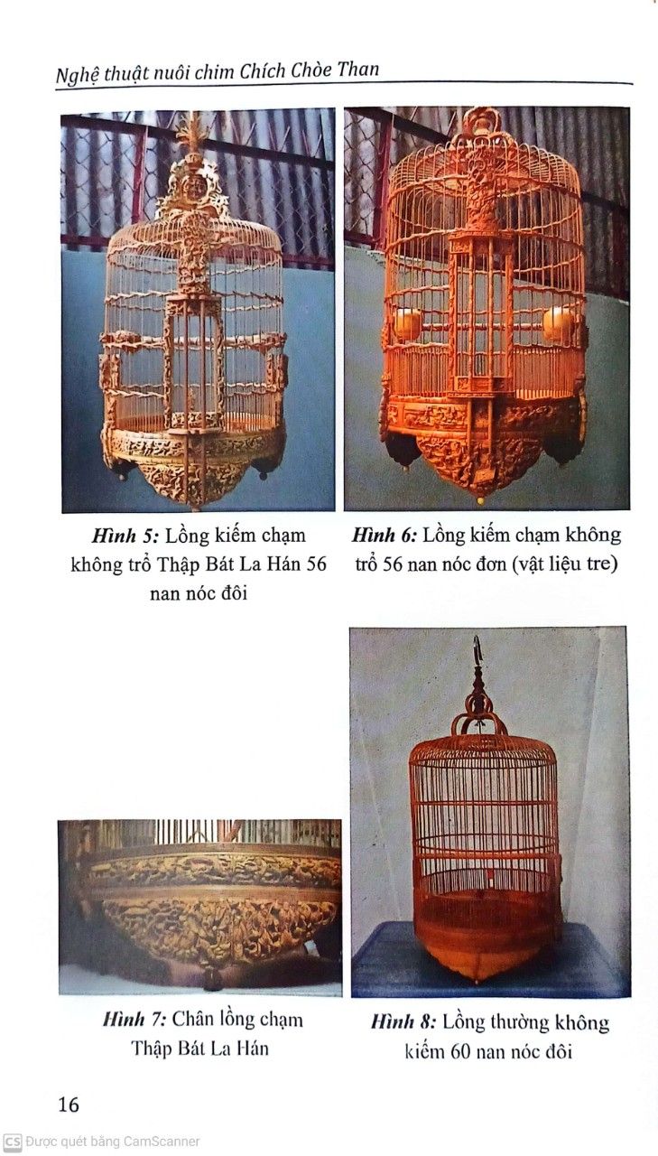  Nghệ Thuật Nuôi Chim Chích Chòe Than 