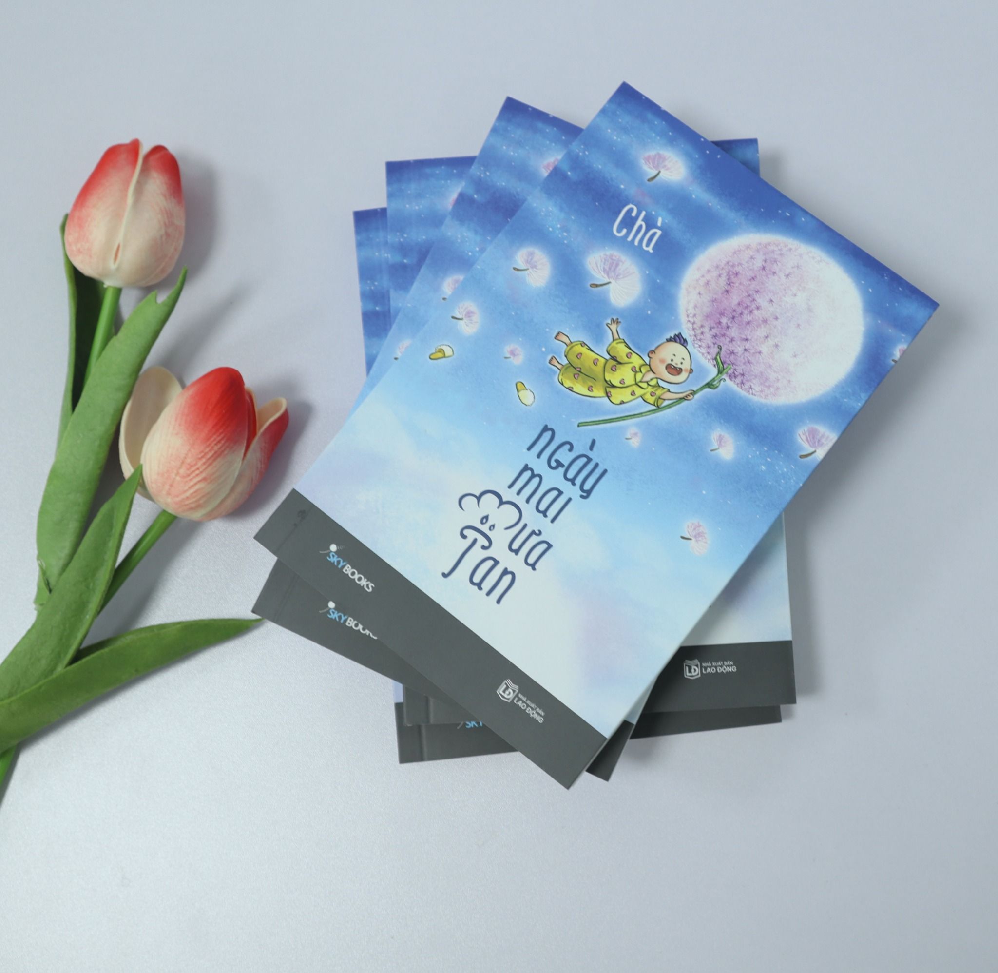  Ngày Mai Mưa Tan 