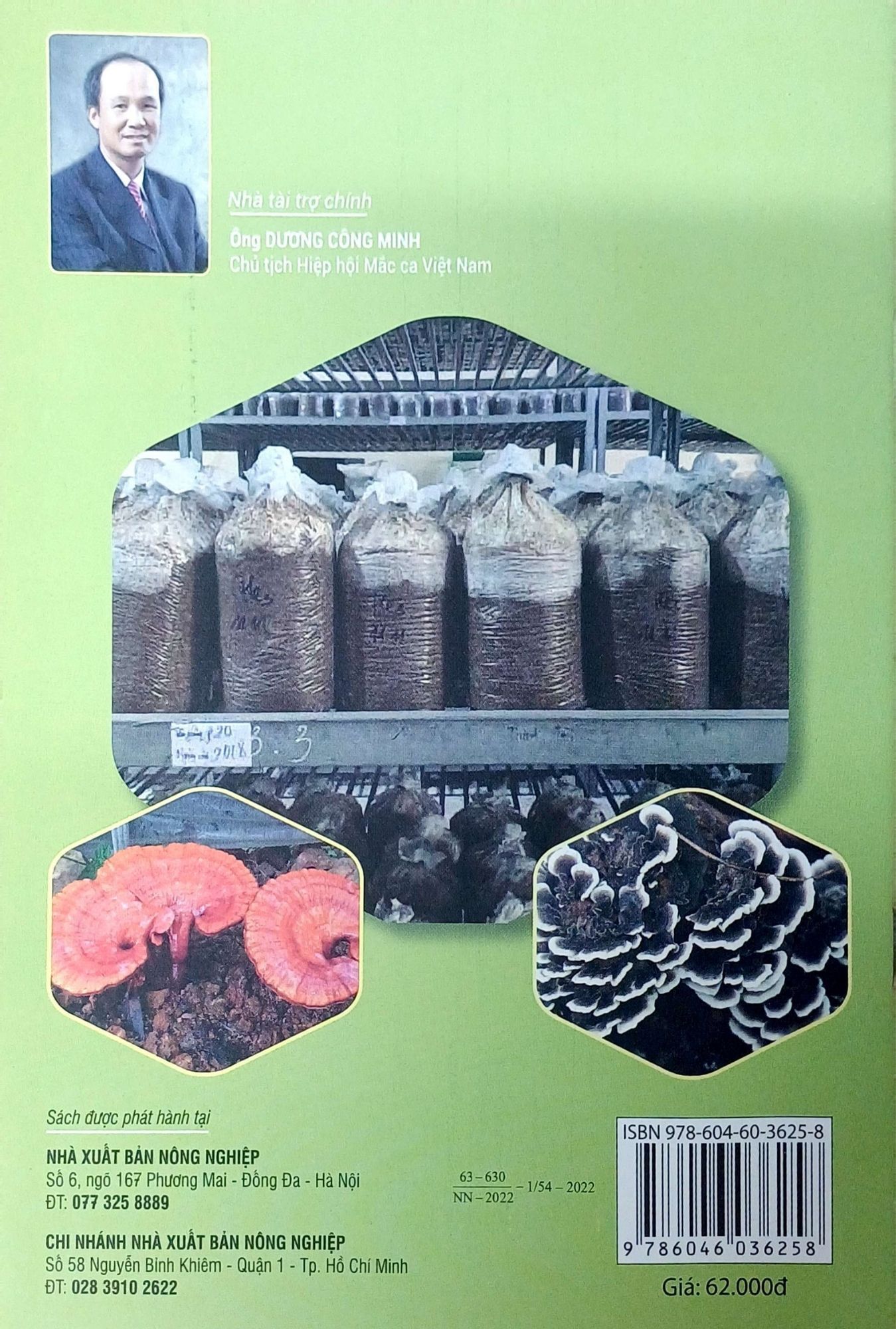  Cách Trồng Nấm Linh Chi, Nấm Vân Chi, Nấm Đầu Khỉ 