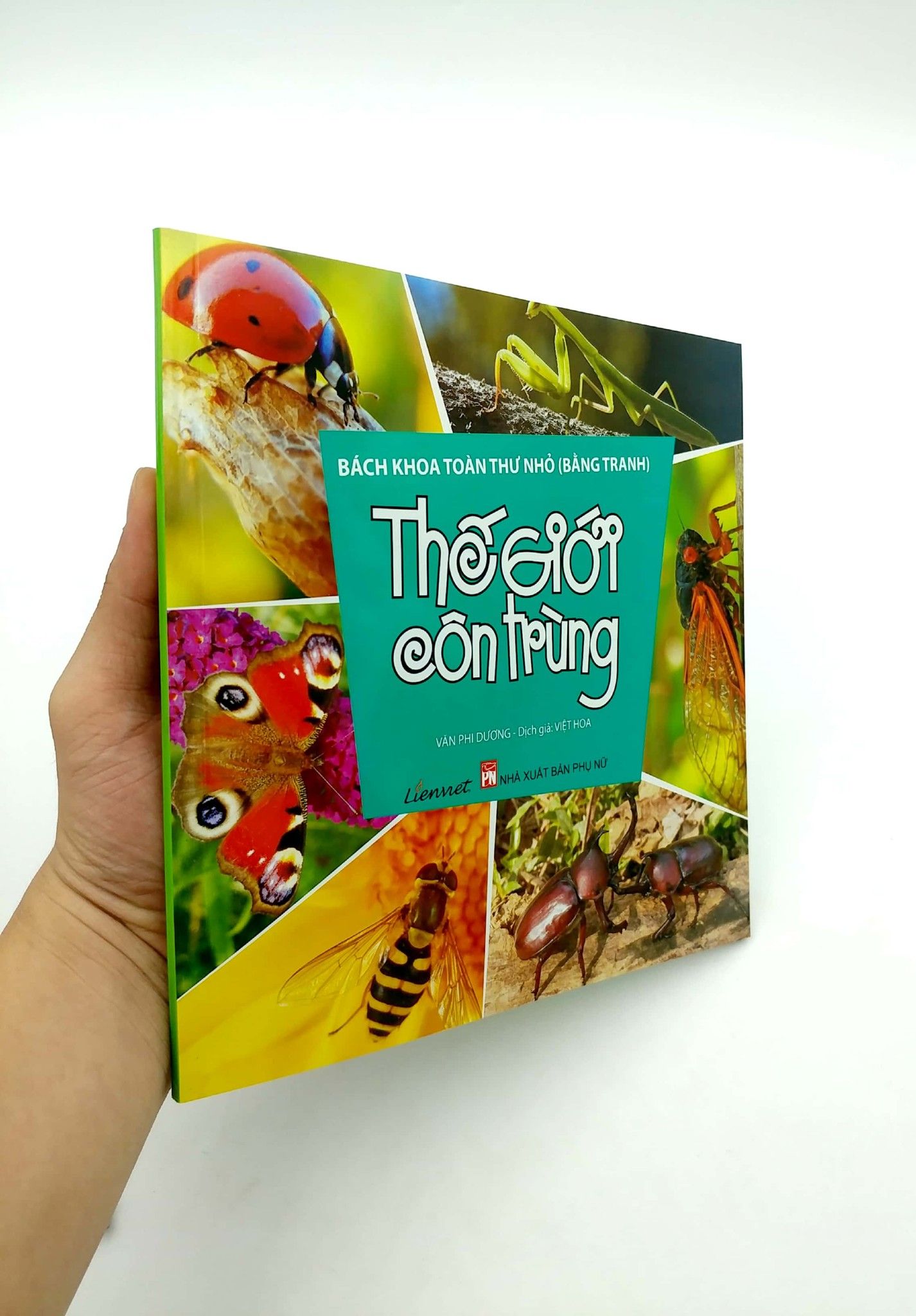  Bách Khoa Toàn Thư Nhỏ - Thế Giới Côn Trùng 