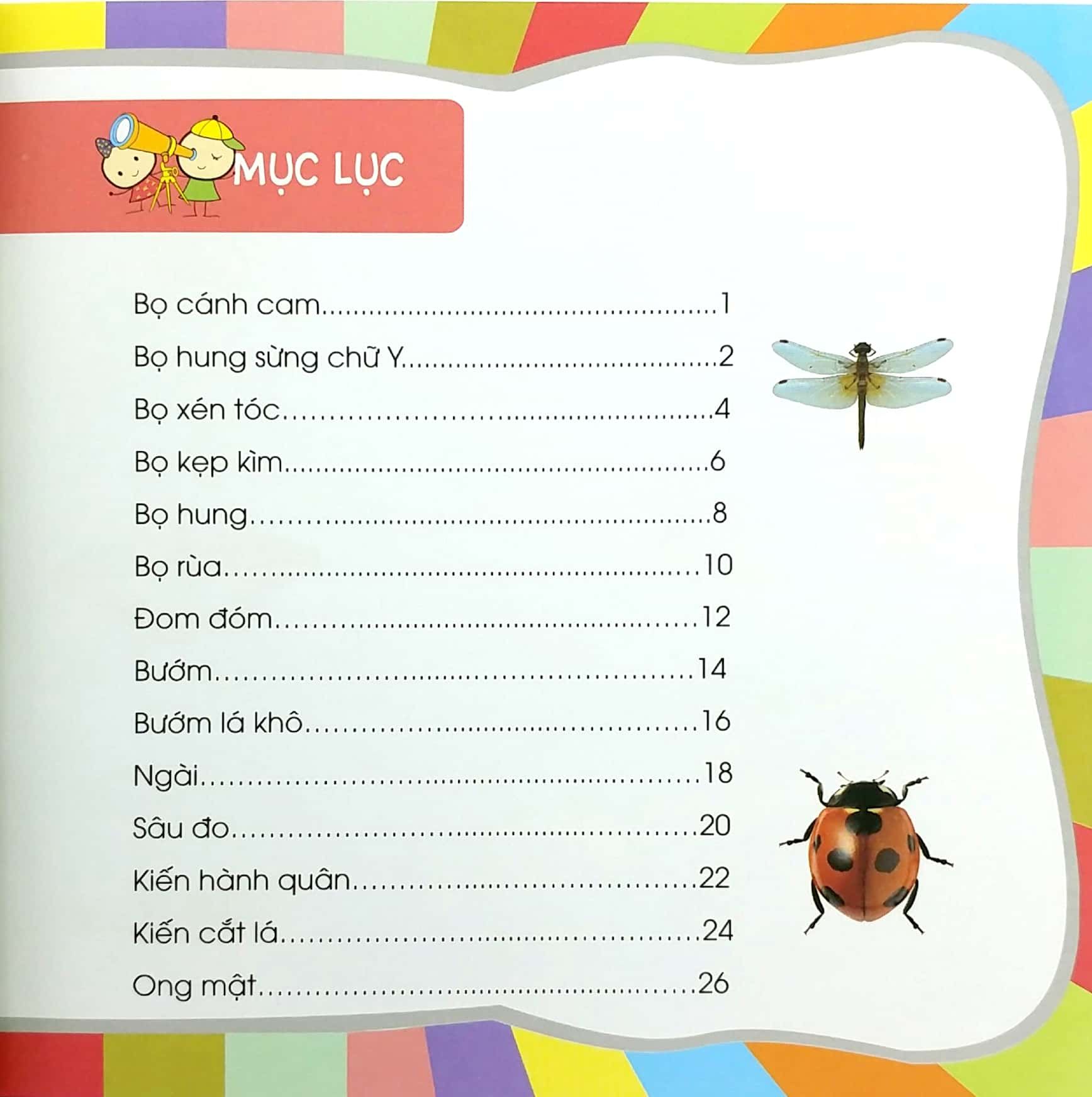  Bách Khoa Toàn Thư Nhỏ - Thế Giới Côn Trùng 