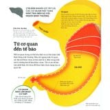  How The Body Works - Hiểu Hết Về Cơ Thể 
