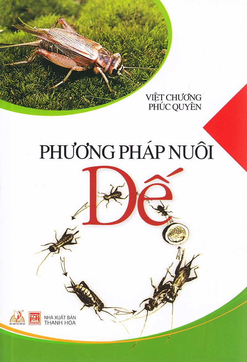  Phương Pháp Nuôi Dế 