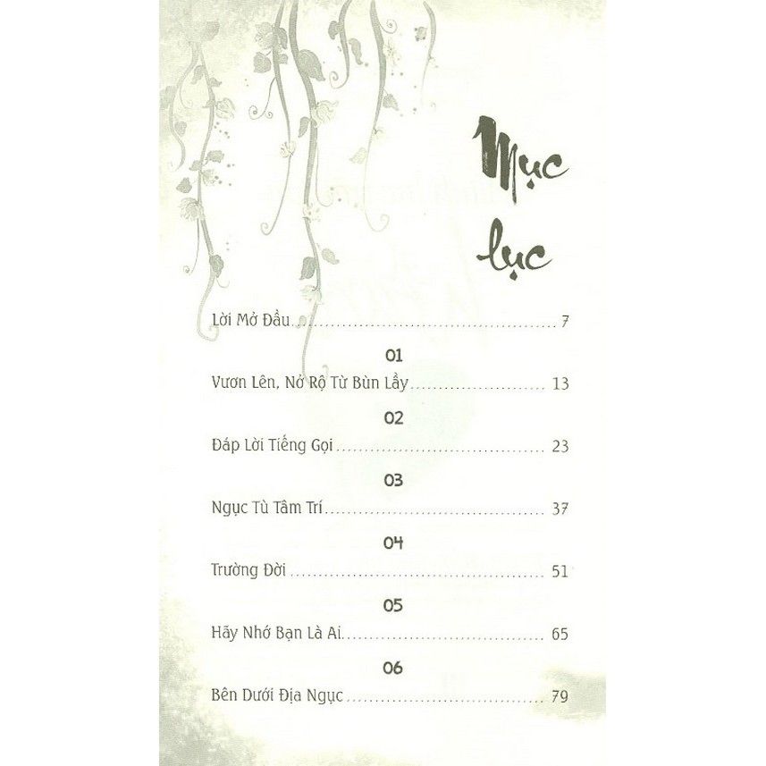  Mãnh Lực Trái Tim 
