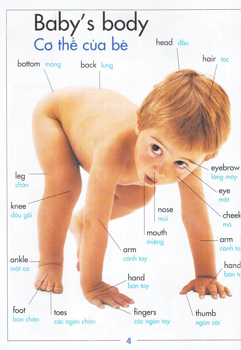  Baby's Word - Thế Giới Của Bé 