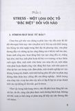  Chế Độ Ăn Bổ Trí Não Giảm Stress - 2023 