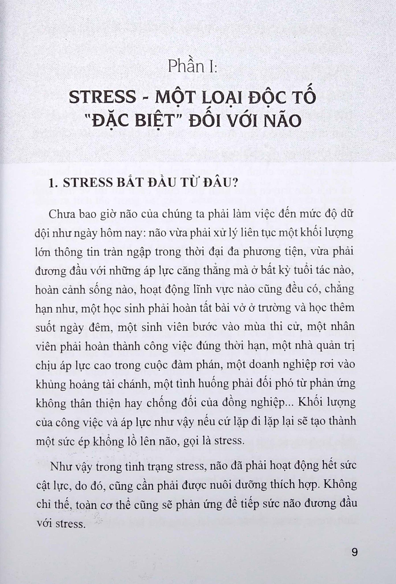  Chế Độ Ăn Bổ Trí Não Giảm Stress - 2023 