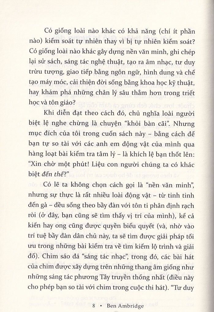  Bạn Có Thông Minh Hơn Con Tinh Tinh 