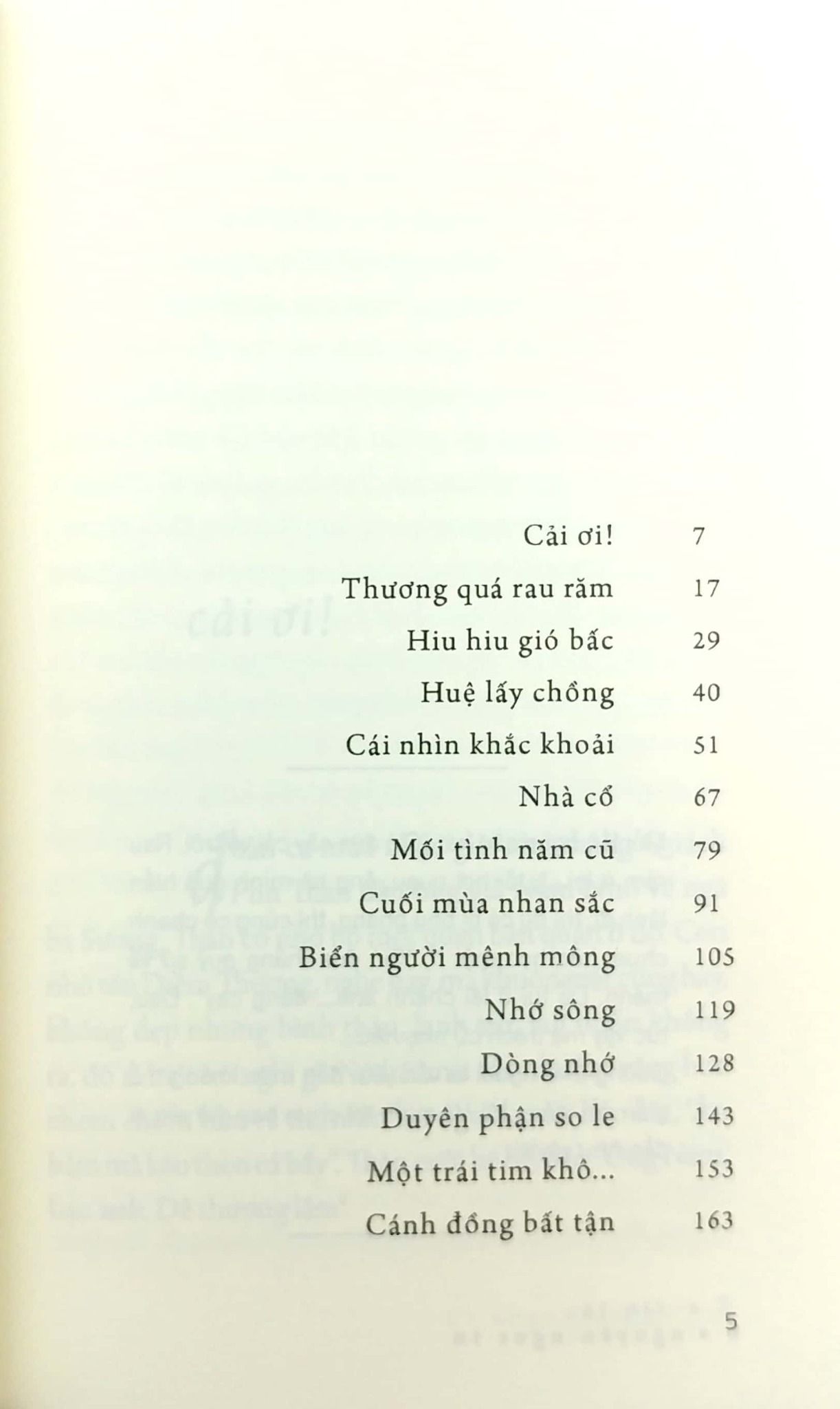  Cánh Đồng Bất Tận 