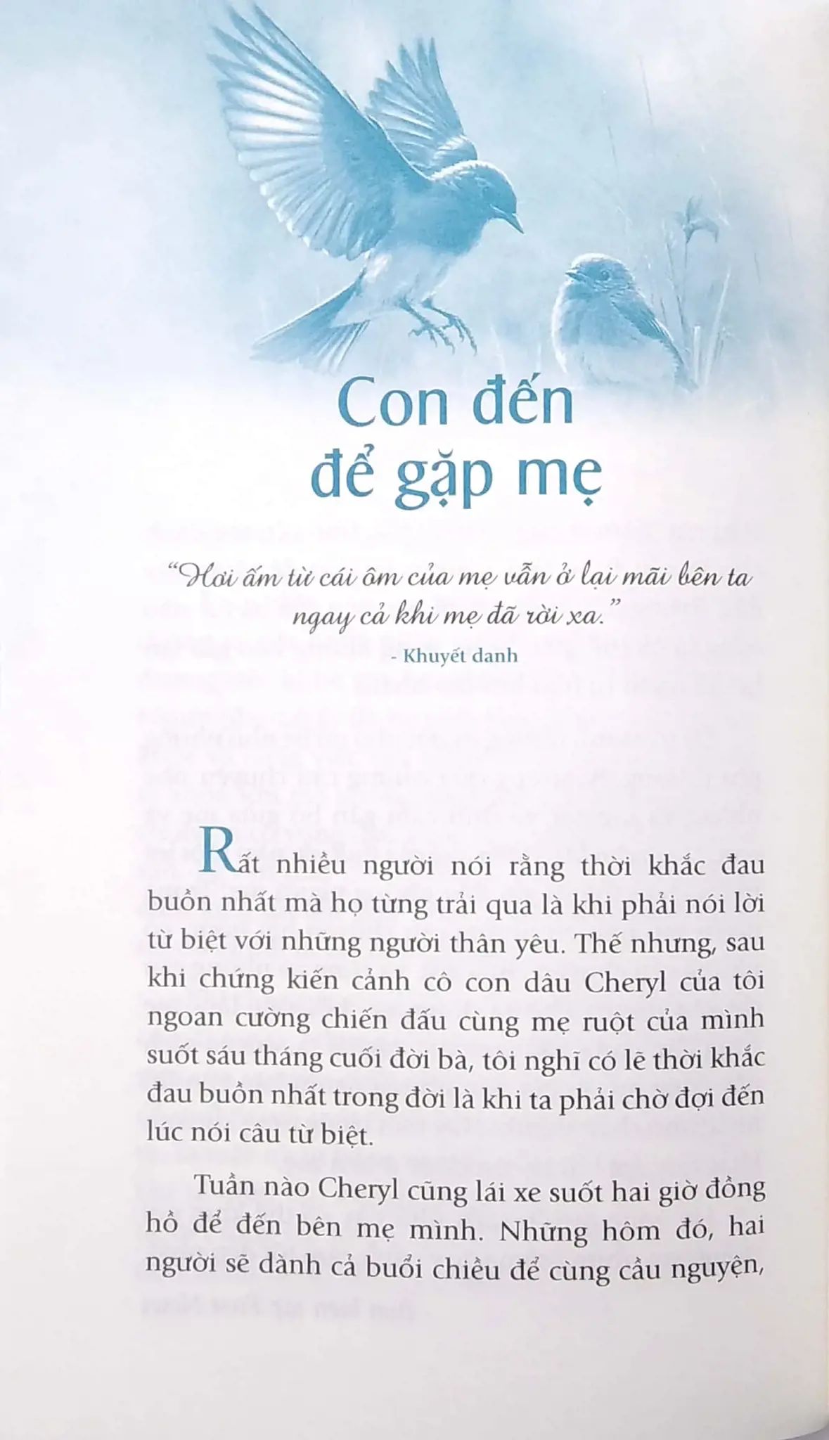  Dành Cho Mẹ Món Quà Của Tình Yêu 