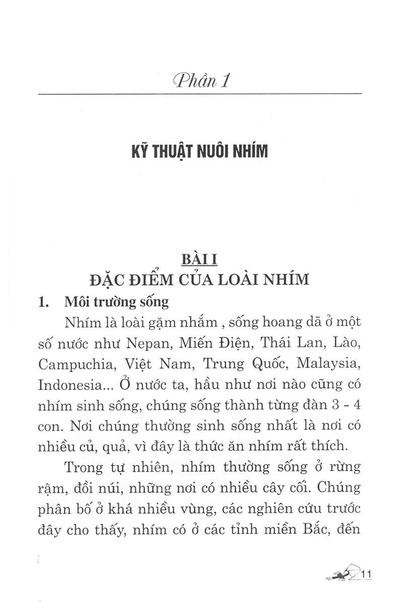  Kỹ Thuật Nuôi Nhím Và Dúi 