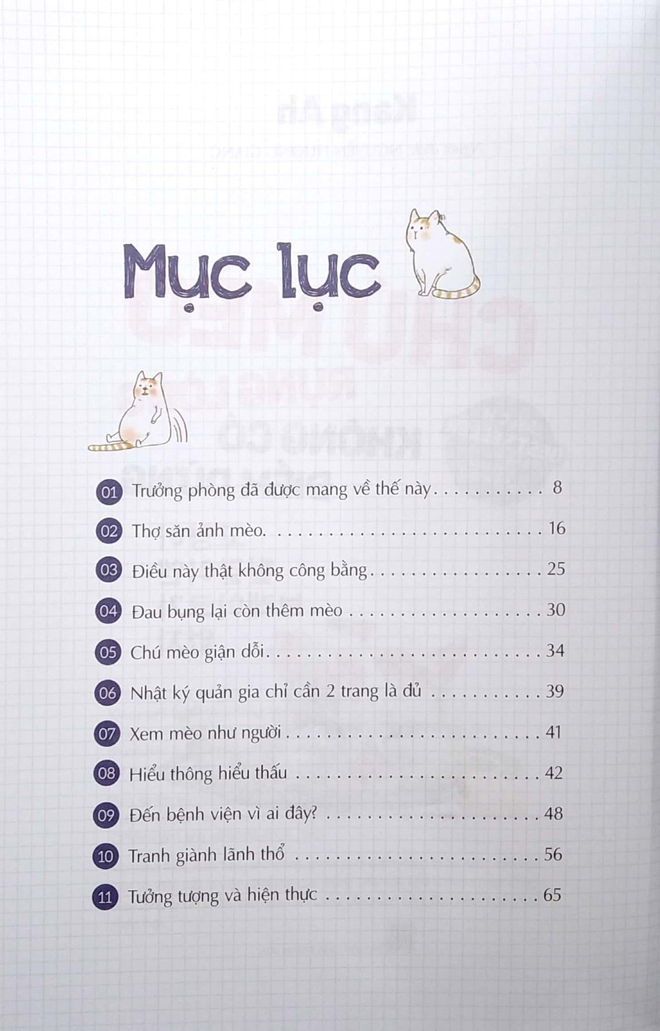  Chú Mèo Rụng Lông Không Có Điểm Dừng 