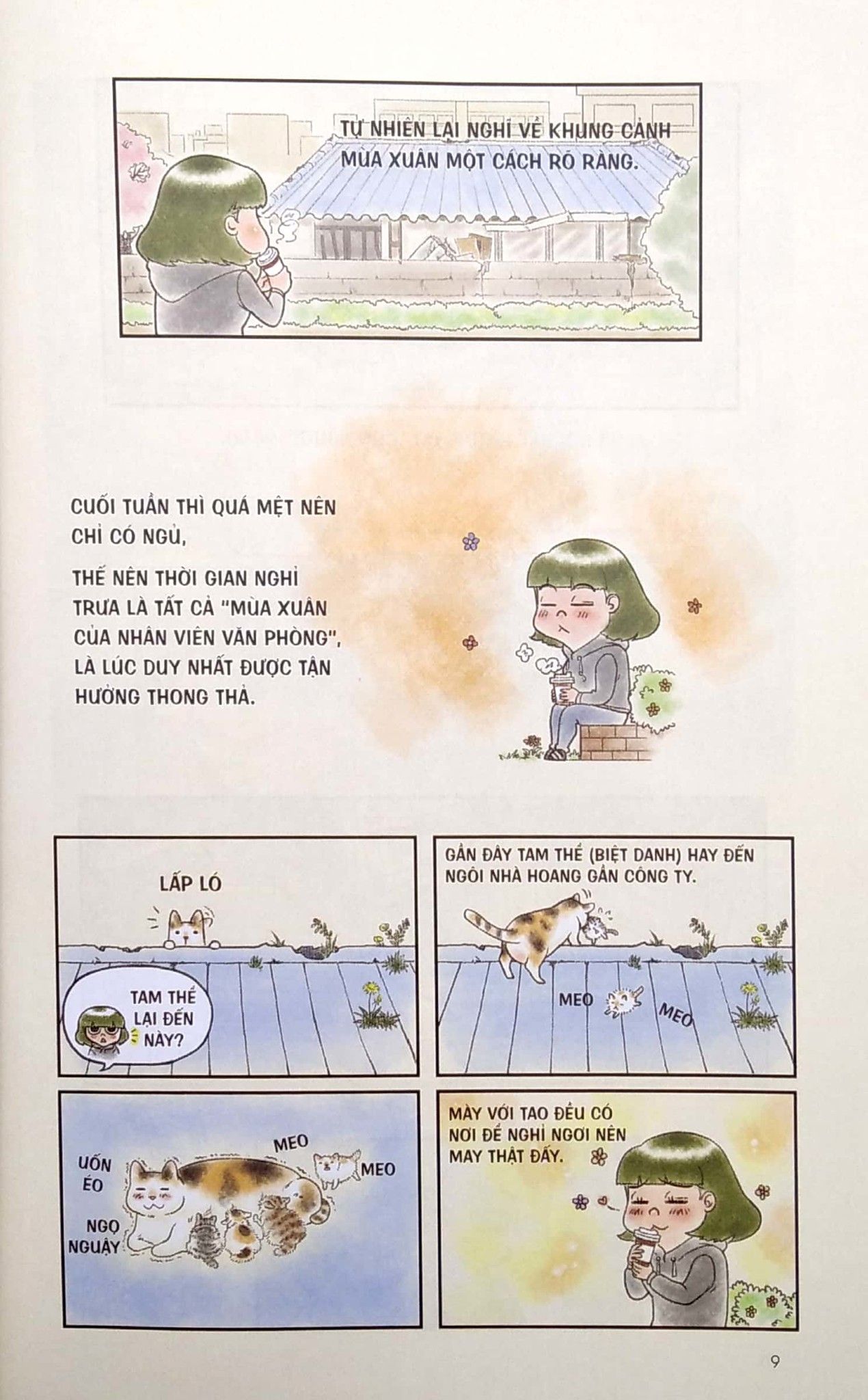  Chú Mèo Rụng Lông Không Có Điểm Dừng 