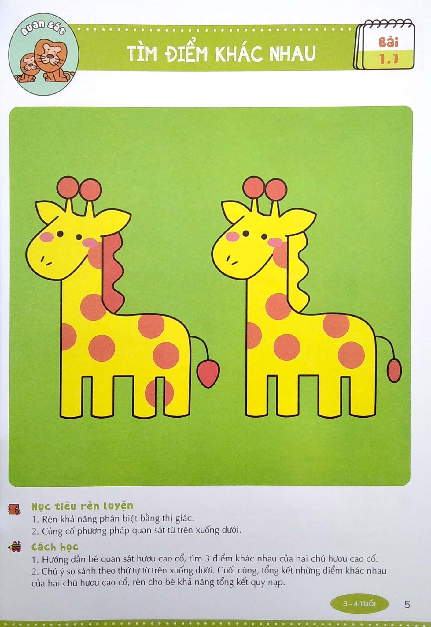  Đánh Thức Tiềm Năng Trí Tuệ - Quan Sát Ghi Nhớ (3-4 Tuổi) 