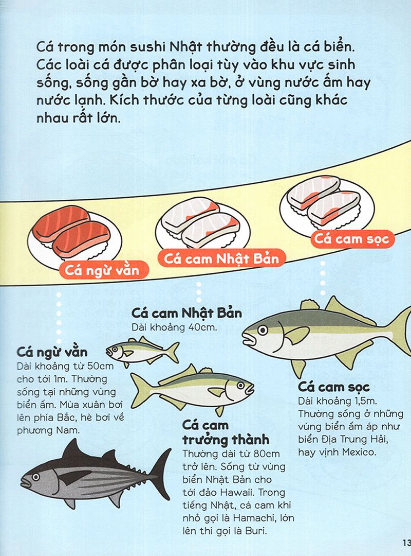  Gi Gỉ Gì Gi Cái Gì Cũng Biết - Dành Cho Lớp 2 