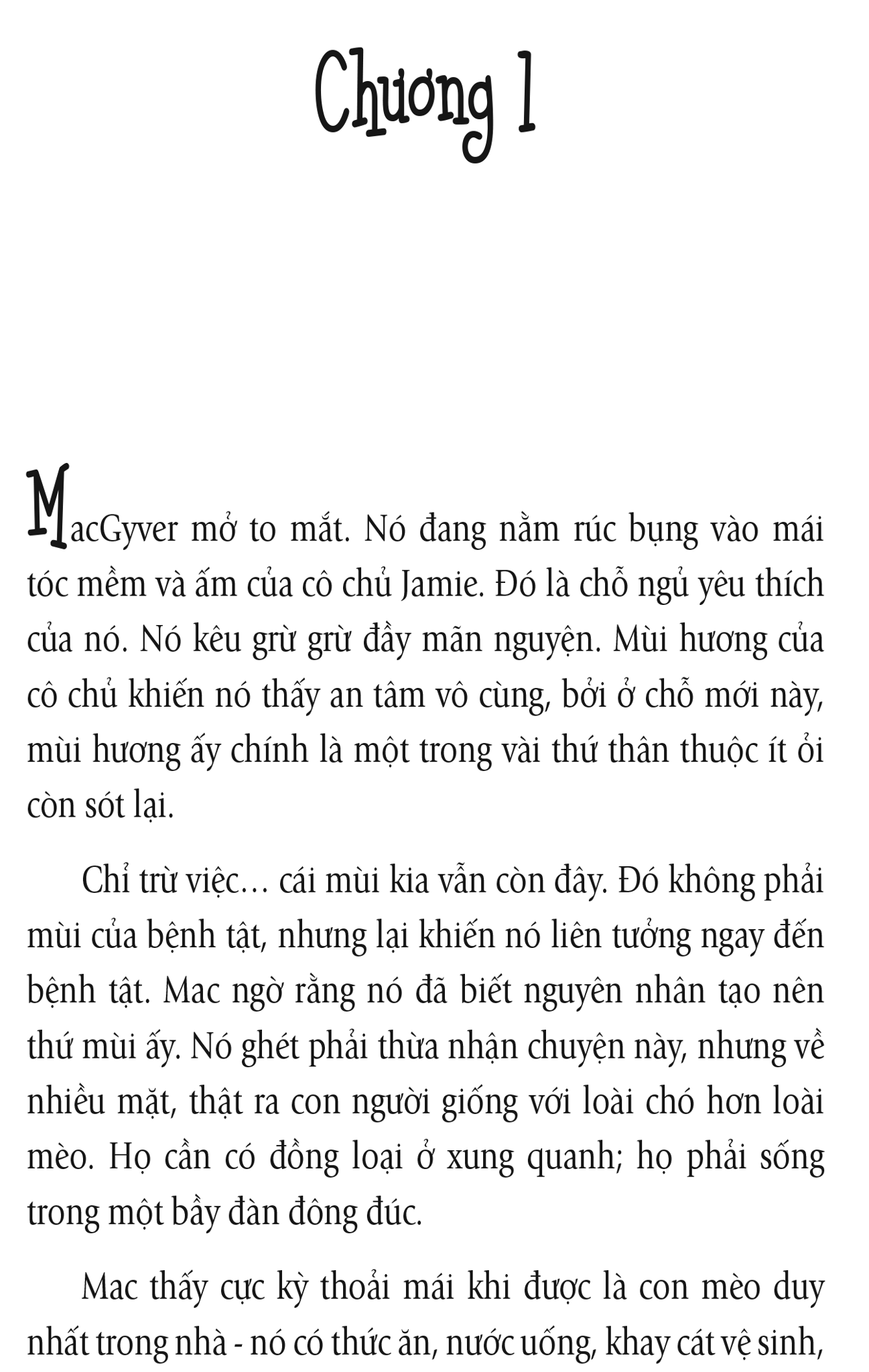  Nhân Duyên ... Mèo Định 