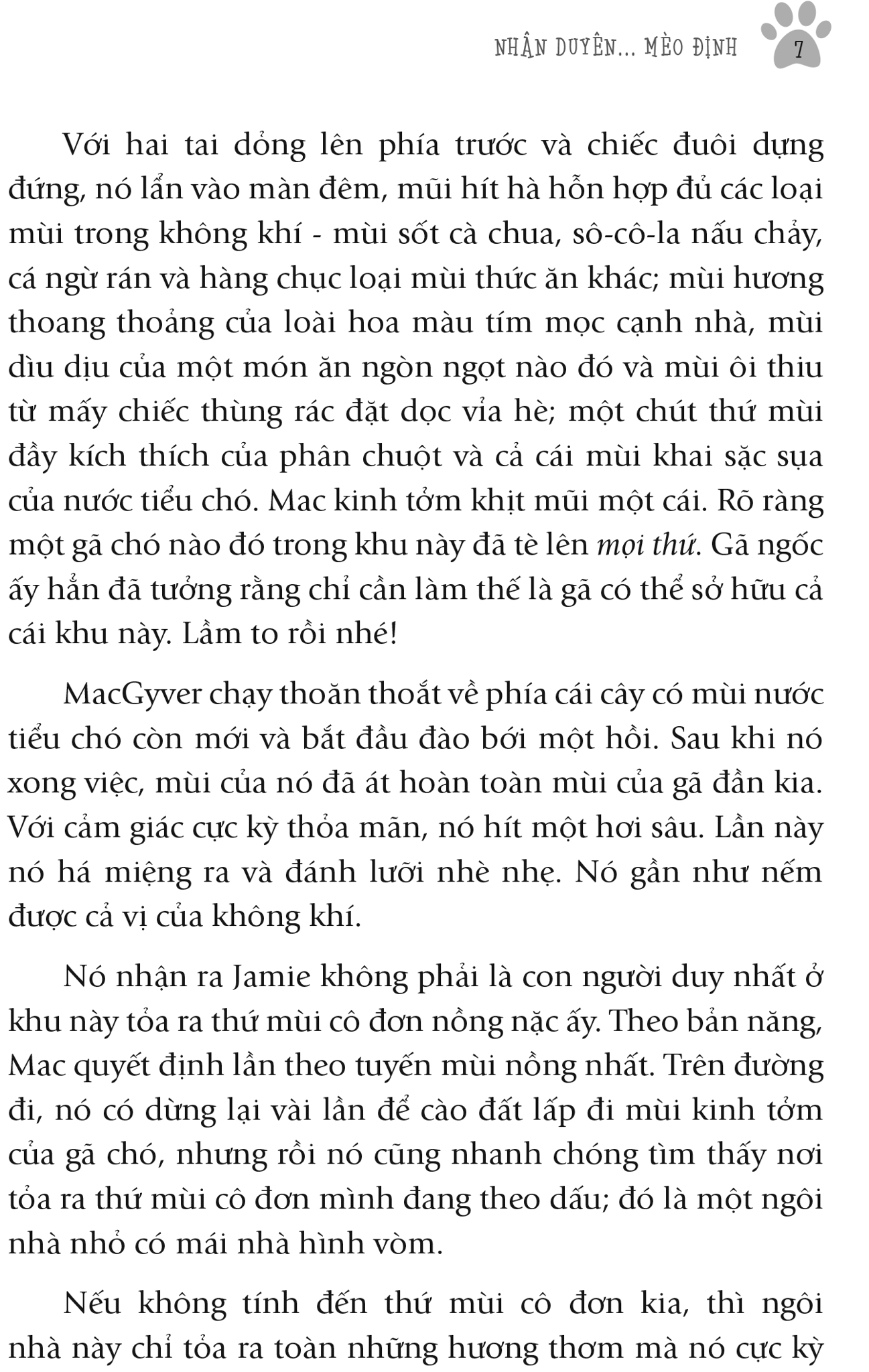  Nhân Duyên ... Mèo Định 