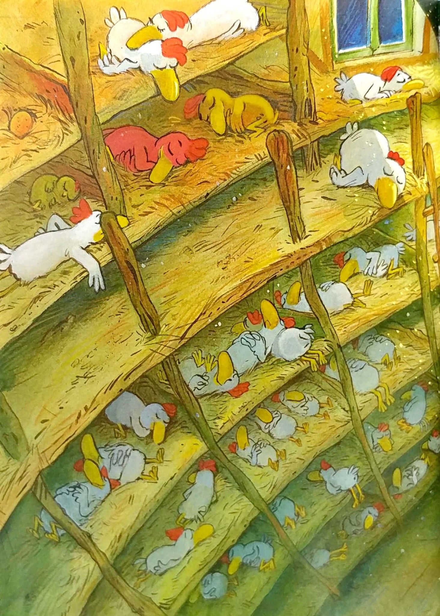  Chuyện Xóm Gà - Gia Đình Cú Tung Hoành Xóm Gà 