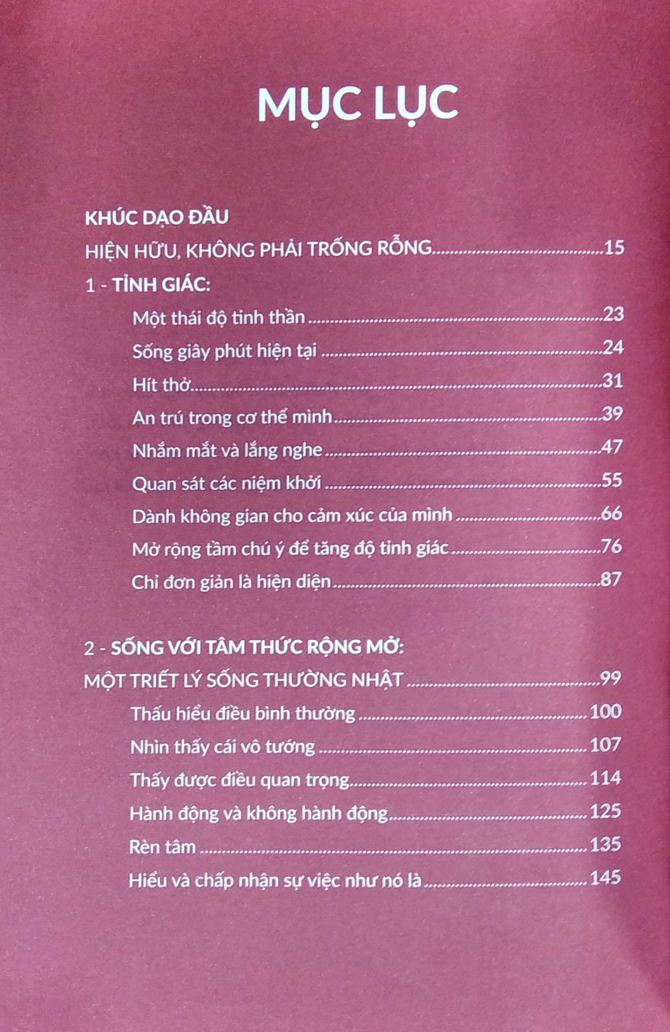  Thiền Định Mỗi Ngày - Một Cẩm Nang Nhỏ Giúp Luôn Sống Trong Tỉnh Thức 