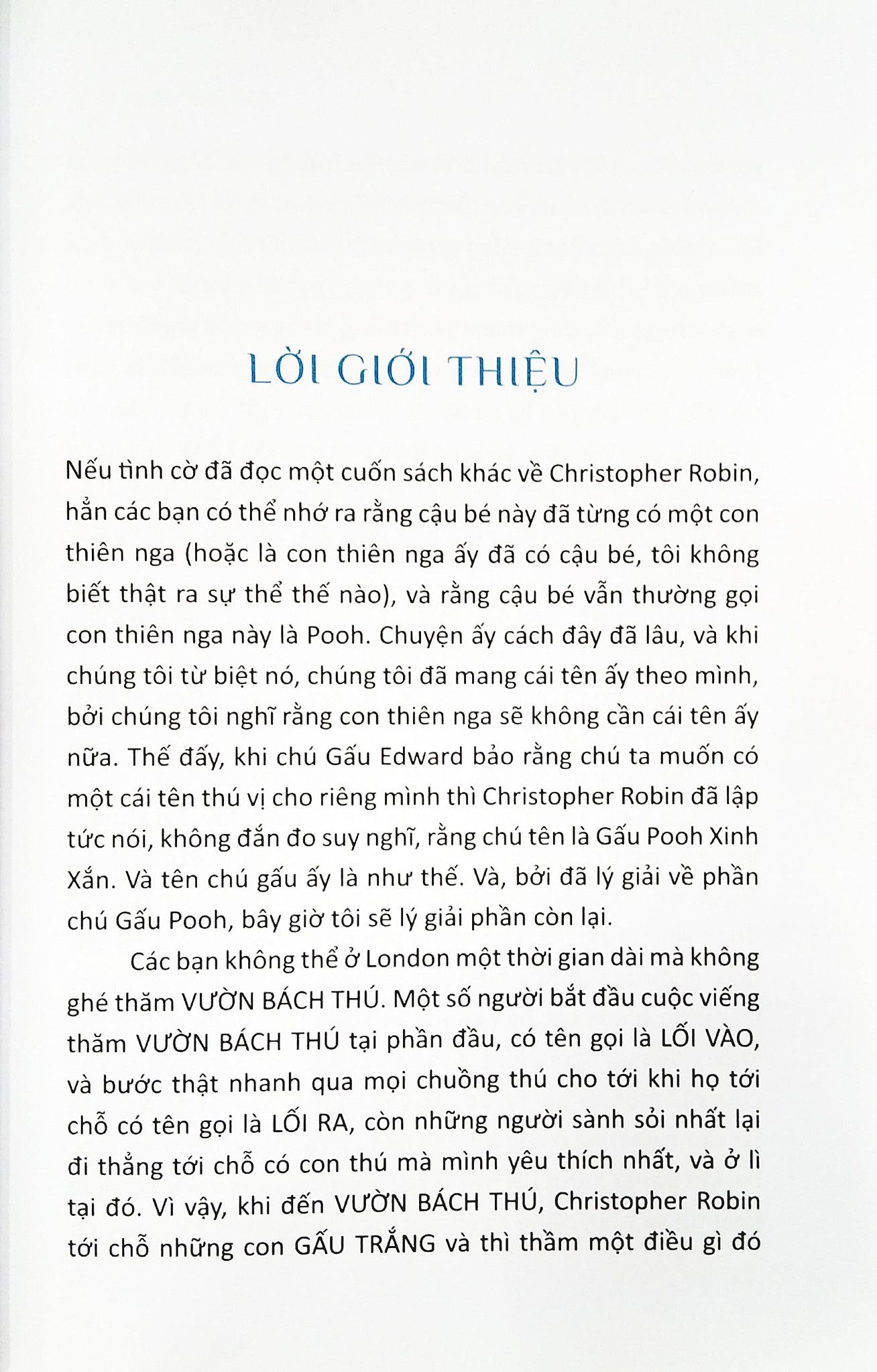 Gấu Pooh Xinh Xắn 