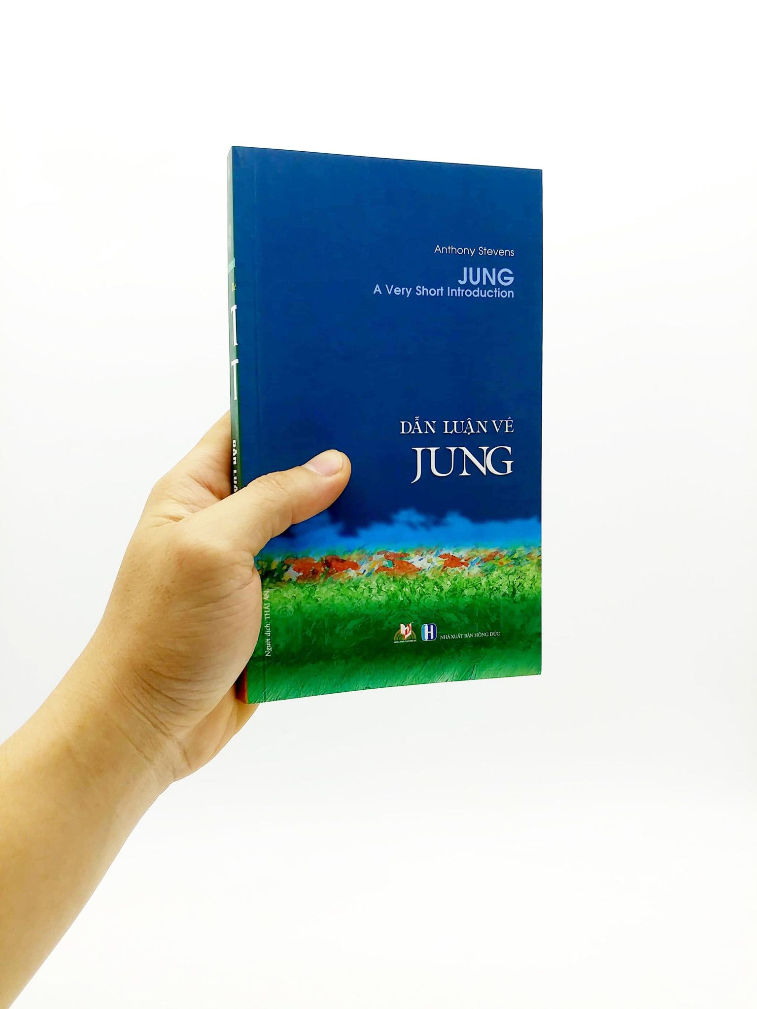  Dẫn Luận Về Jung 