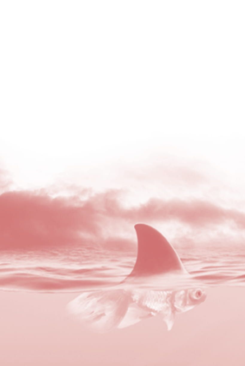  Tư Duy Cá Mập Suy nghĩ cá vàng 