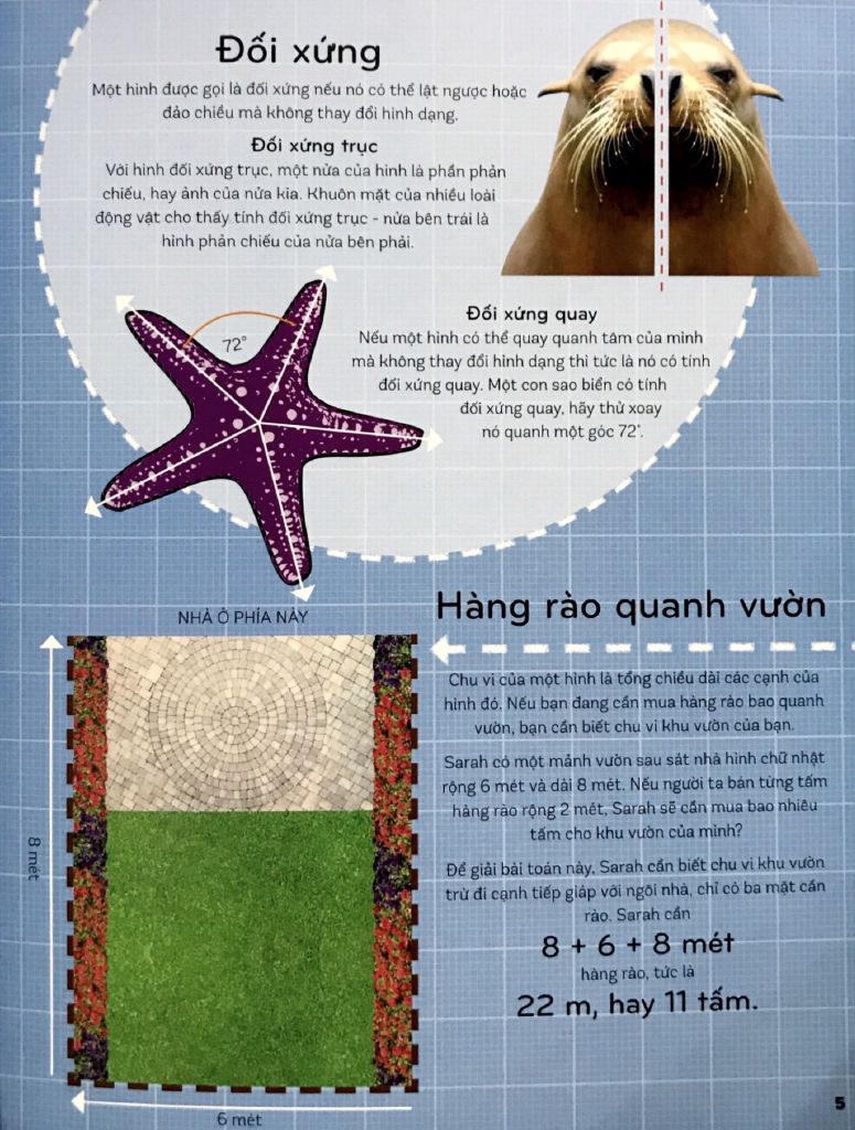  Toán Học Khắp Quanh Ta - Muôn Hình Vạn Trạng 