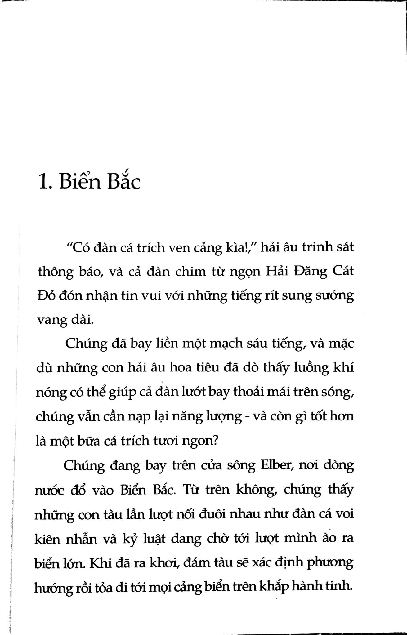  Chuyện Con Mèo Dạy Hải Âu Bay 