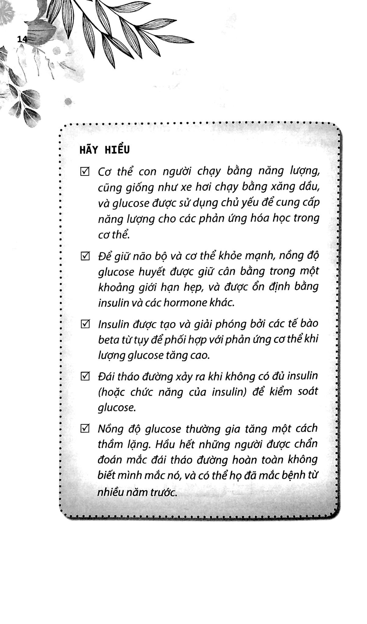  Xử Lý Đái Tháo Đường Típ 2 