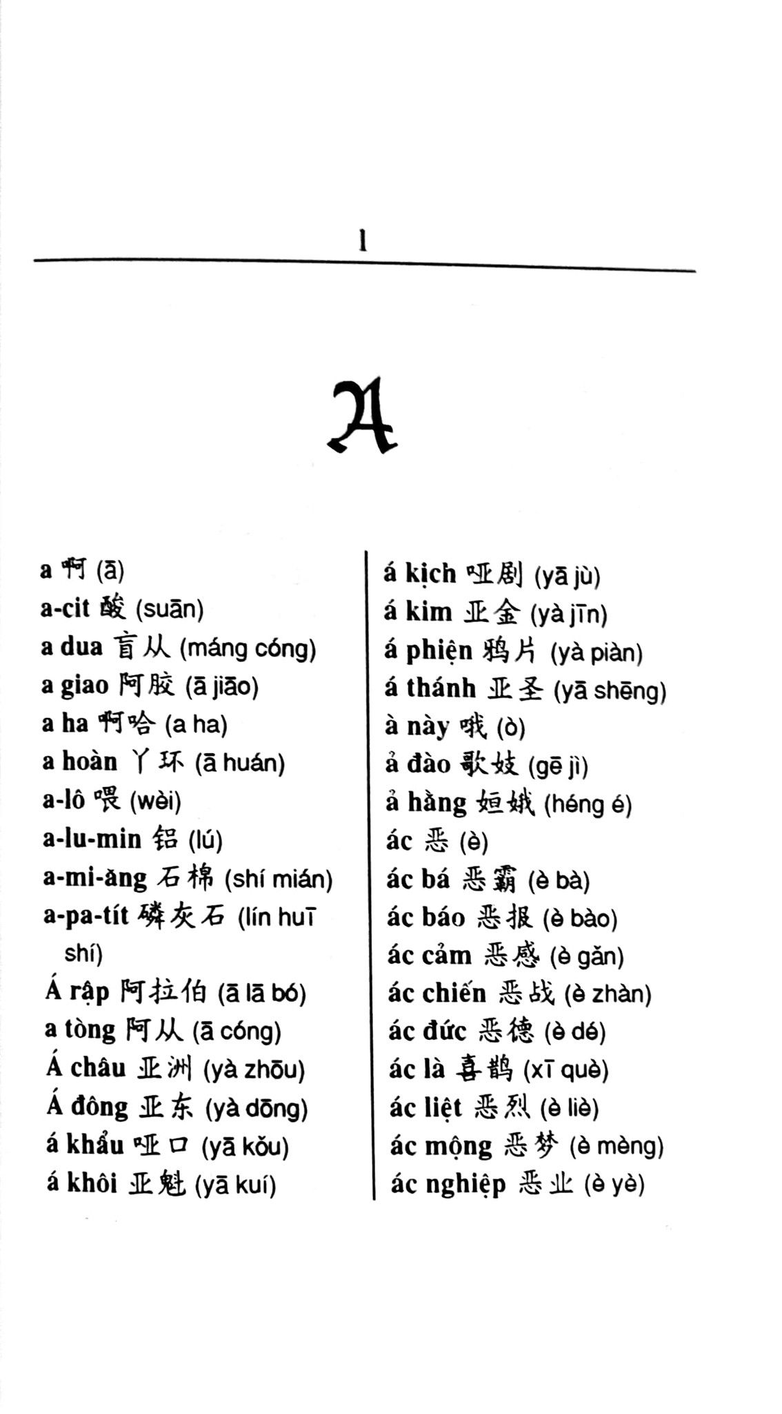  Từ Điển Việt - Hoa (Lâm Hòa Chiếm) 