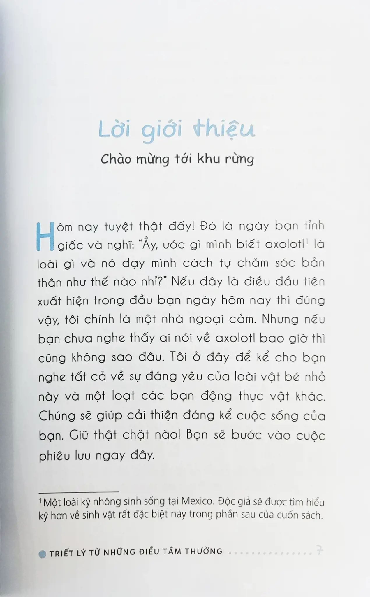  Triết Lý Từ Những Điều Tầm Thường 